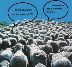 Image_on_ne_nait_pas_groupe