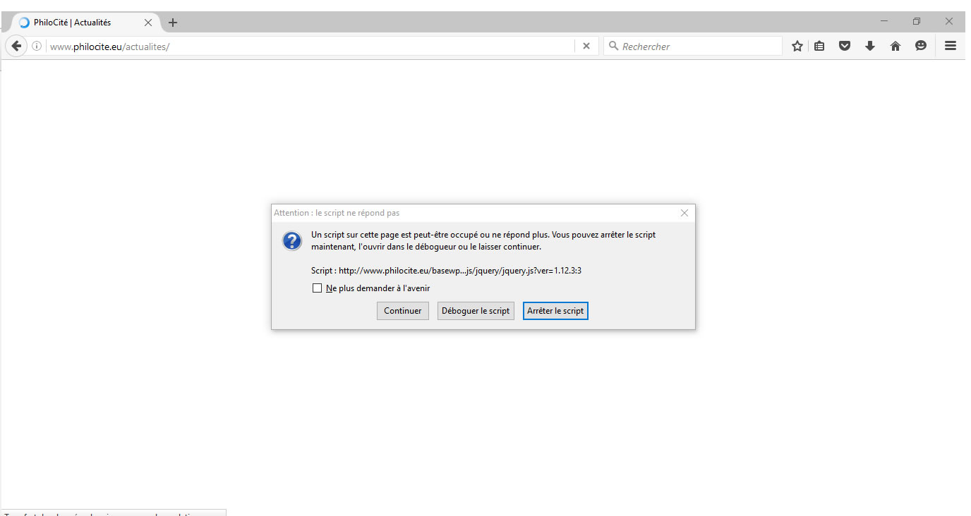bugFirefox-2.jpg